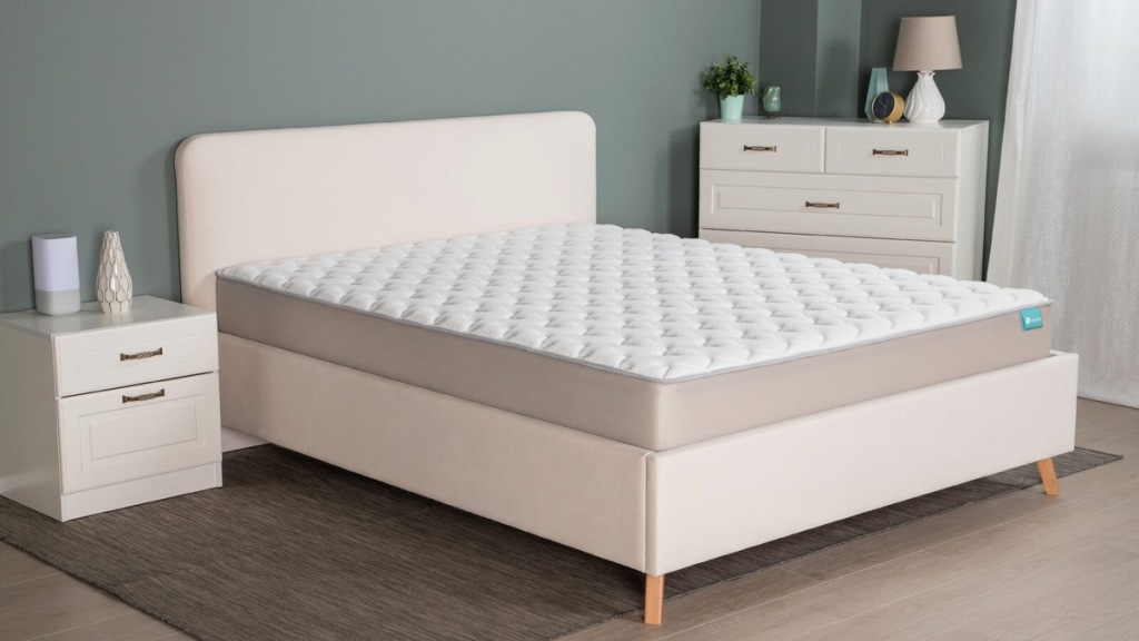 scale_1200 (6).png
